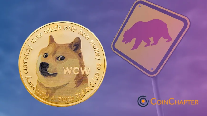 Warning! Dogecoin (DOGE) Too Risky to Buy Right Now