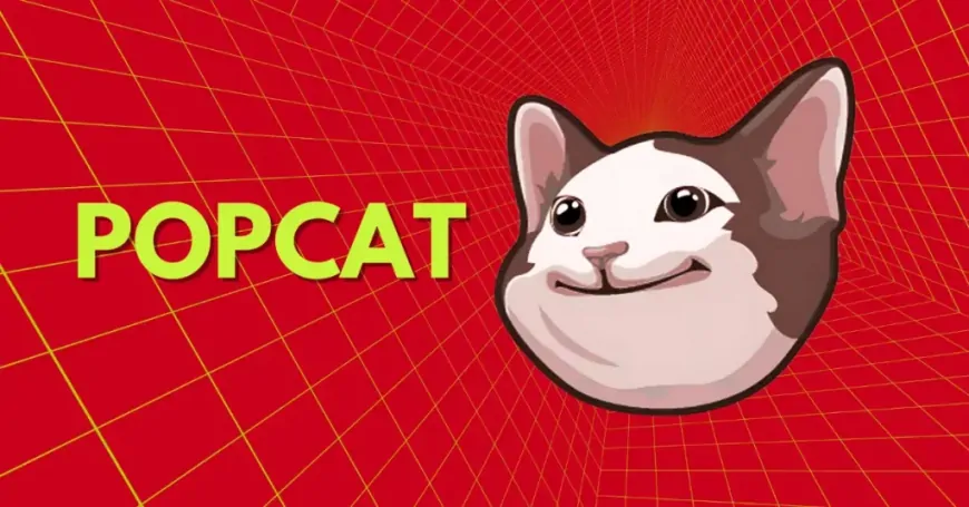 POPCAT Rises to the Top, Surpassing Bitcoin and Ethereum