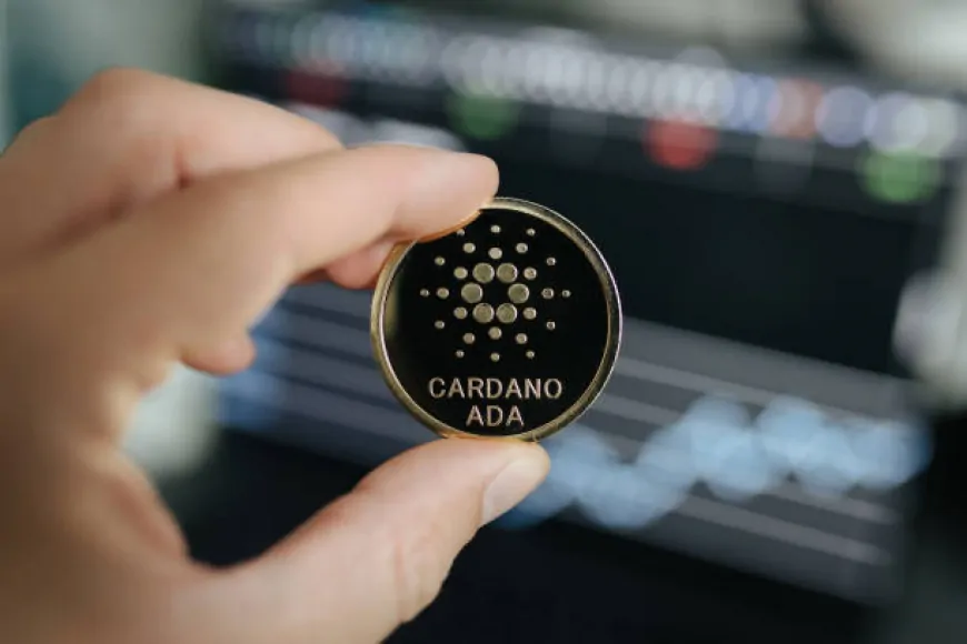 Cardano's Pullback Short-Lived, Fresh Rally Underway For ADA?