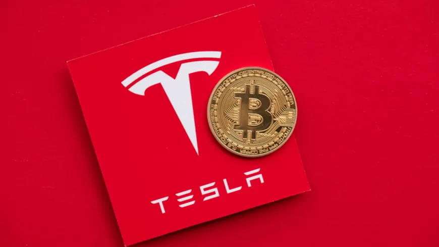 Truth Behind Tesla's $700 Million Bitcoin Transfer Revealed – Did They Sell It?