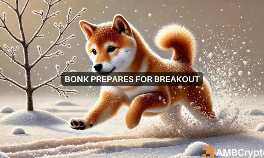 BONK price prediction: What the next 30 days could hold