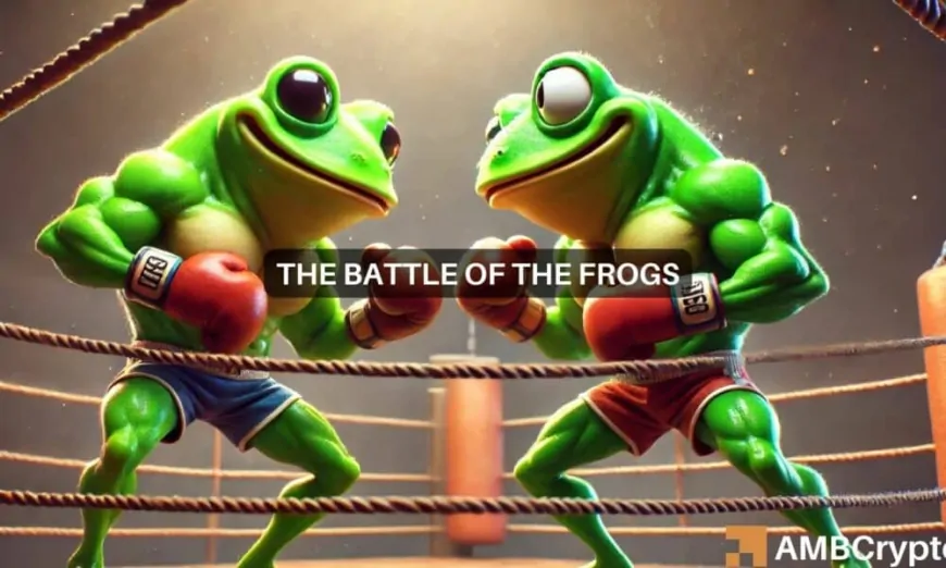 Pepe vs Fwog: Which frog-themed memecoin should you bet on?