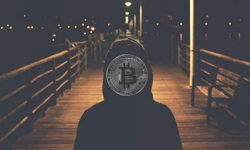 Canadian Cryptographer Goes Into Hiding After Being Dubbed Bitcoin's Creator