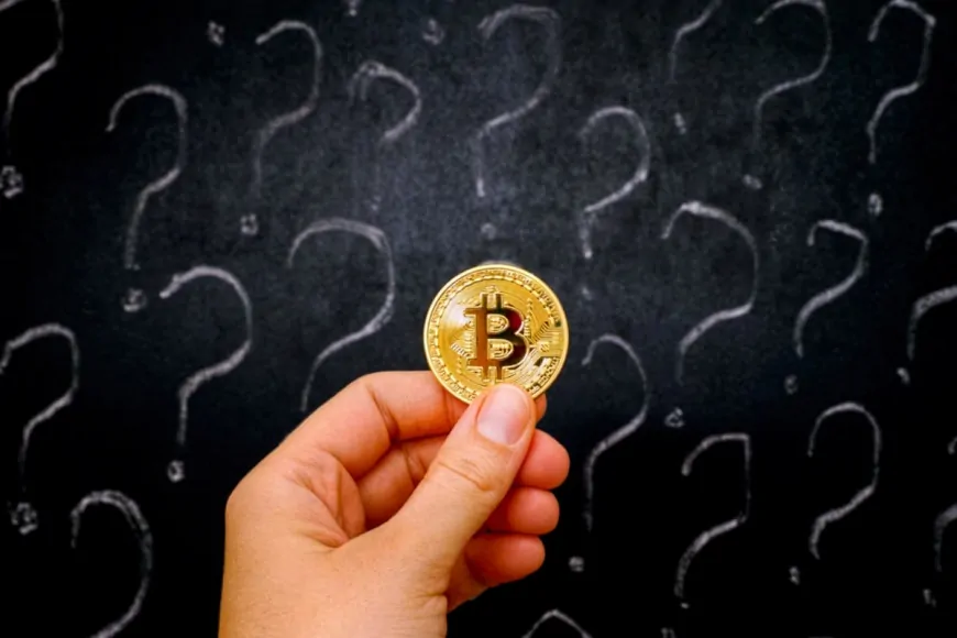 Analysts Discuss BTC's Direction After Bitcoin Price Plunge