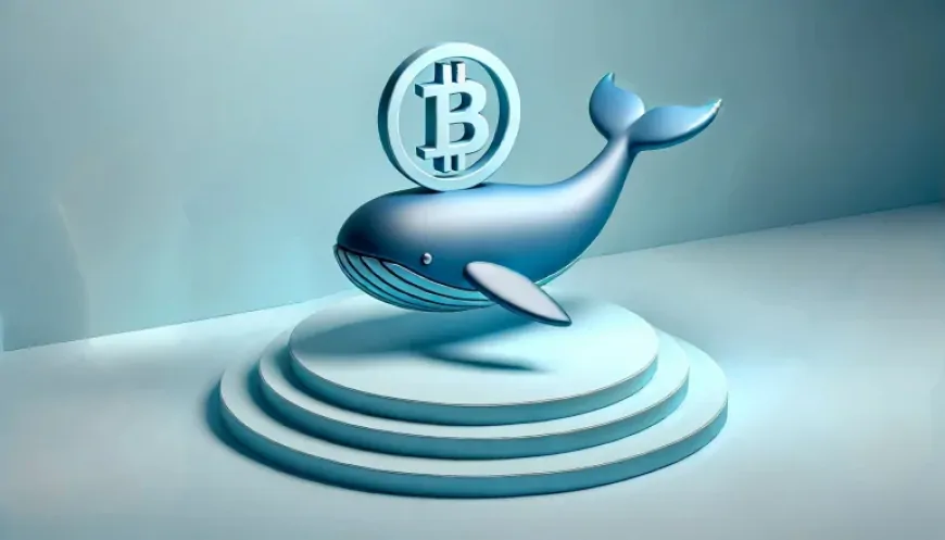 Bitcoin Whales Reach Highest Number Since January 2021