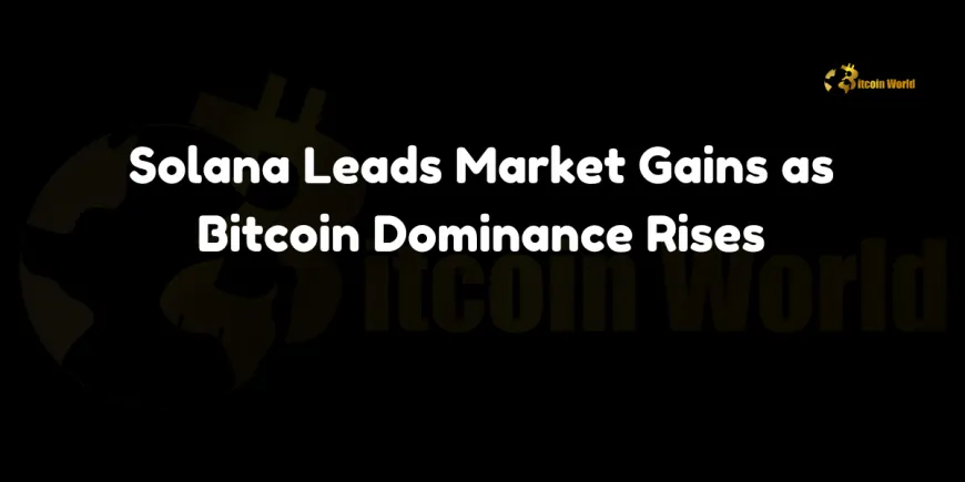 Solana Leads Market Gains as Bitcoin Dominance Rises