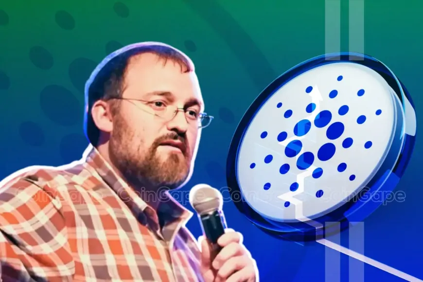 Cardano Founder Charles Hoskinson Condemns Ripple's Chris Larsen