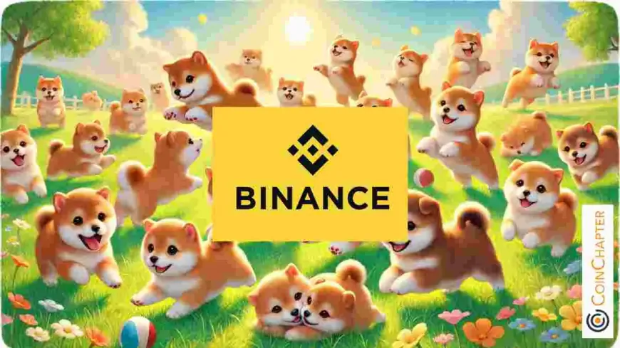 Binance Acquires $6.9 Million of Baby Doge Coin