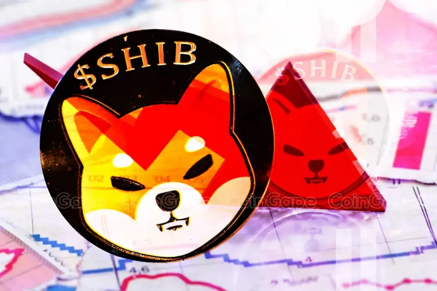 Zero SHIB Burn Rate in 24 Hours: What It Means for Shiba Inu Price?