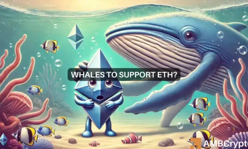 Ethereum's potential December drop – Can whales turn things around?