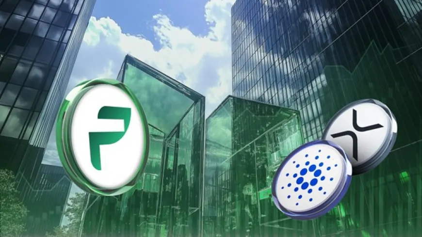 While Cardano and Ripple Trend Sideways, Traders Discover a Real Estate Token with an 800% Return Potential