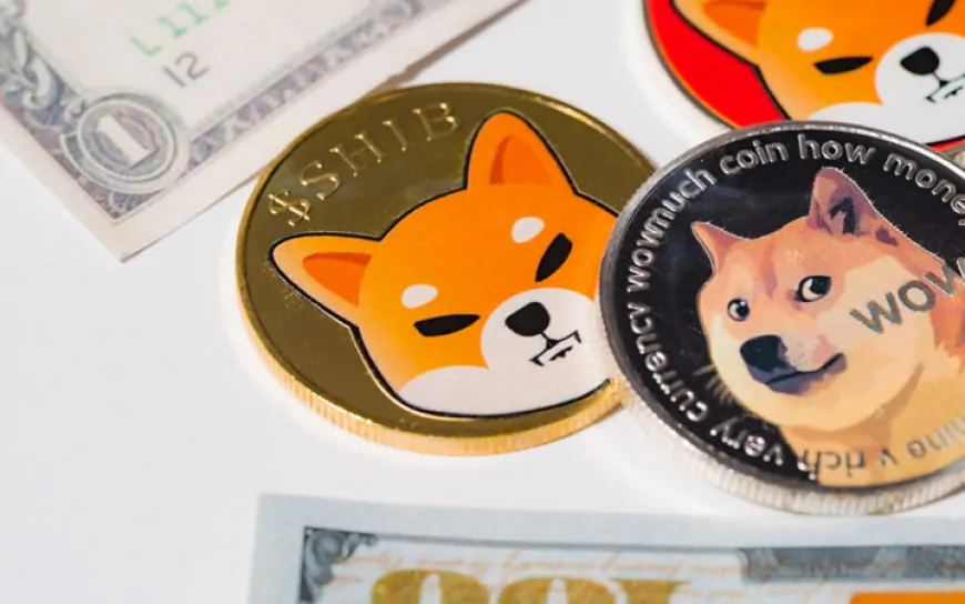 Dogecoin (DOGE) and Shiba Inu (SHIB) Hit Tie in This Metric