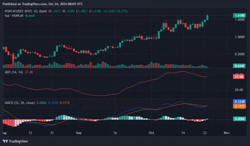 Solana Meme Coin POPCAT Hits New All-Time High Flipping Bonk and Floki