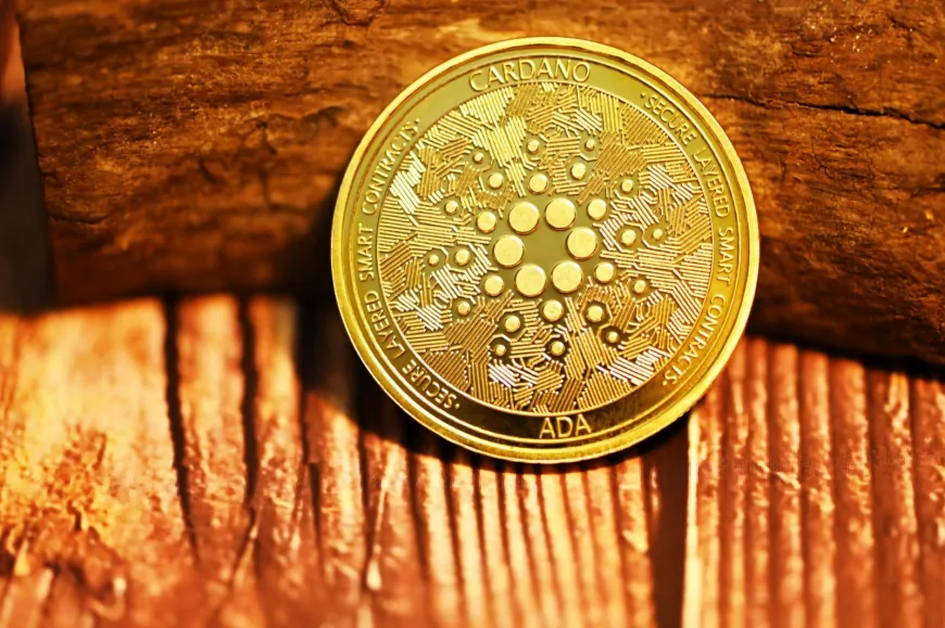 Cardano's Latest Integration Set to Enhance Cross-Chain Liquidity