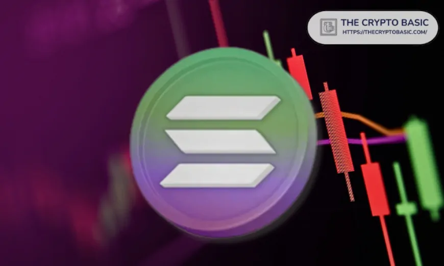 Analyst Warns Solana Could Signal Bearish Shift as Key Levels Are Tested