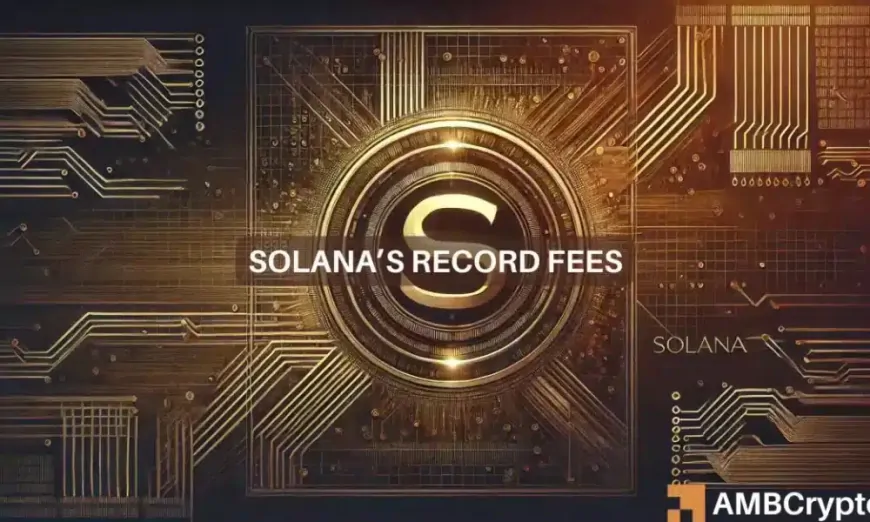 Solana hits record highs in 2 key areas – How memecoins helped SOL's rise