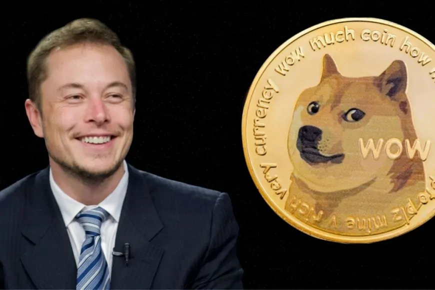 Dogecoin Skyrockets 9% After Elon Musk Gets 'DOGE' Introduction At Trump Rally In New York