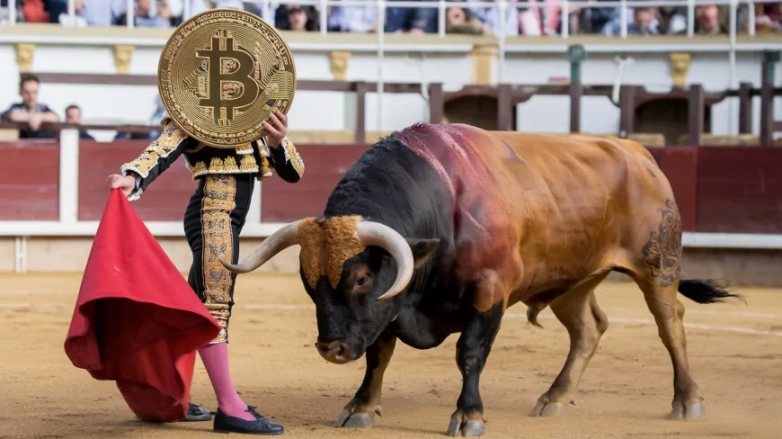 CryptoQuant Analyst Says “I Expect a Bull Rally in Bitcoin”, Explains Why