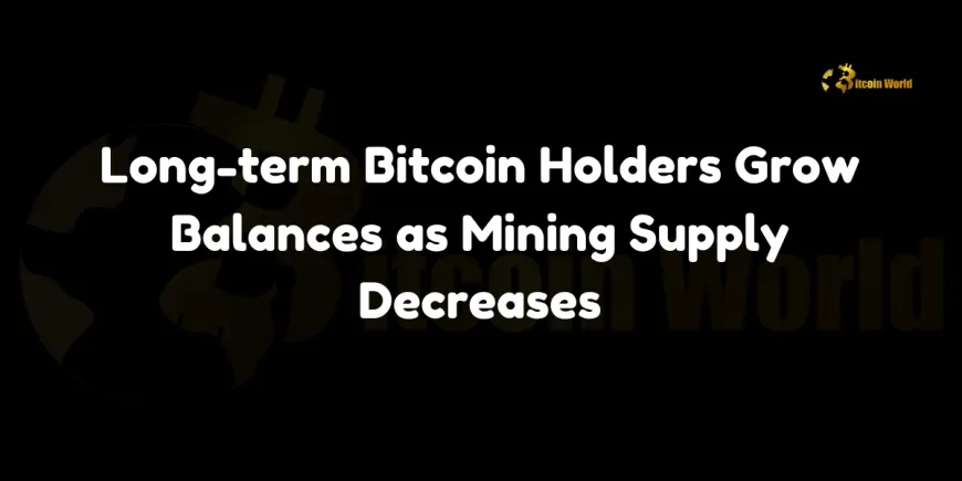 Long-term Bitcoin Holders Grow Balances as Mining Supply Decreases