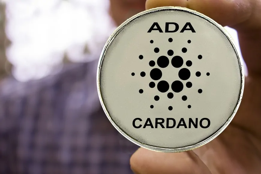 Veteran Analyst Reveals the Date He Claims Cardano (ADA) Price Will Pump