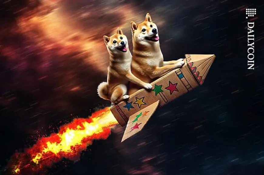 SHIB & DOGE Blast Off: Short Liquidations Flush Away Millions