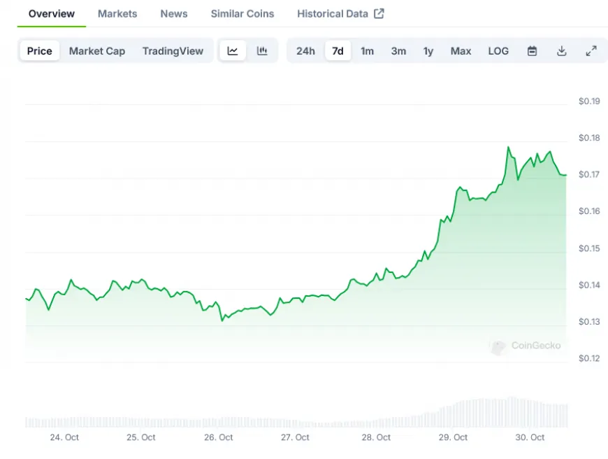 Dogecoin (DOGE) Records $149M Whale Investment Amid Price Rally