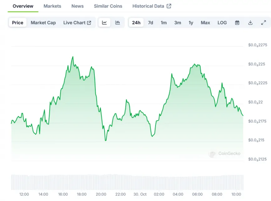 BONK Market Update: Price Action Shows Defined Trading Range