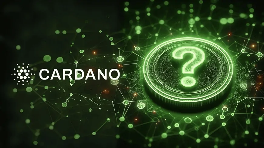 Top Cardano Trader Bets Big on This RWA Token Priced at $0.004 For 4,000x Gains