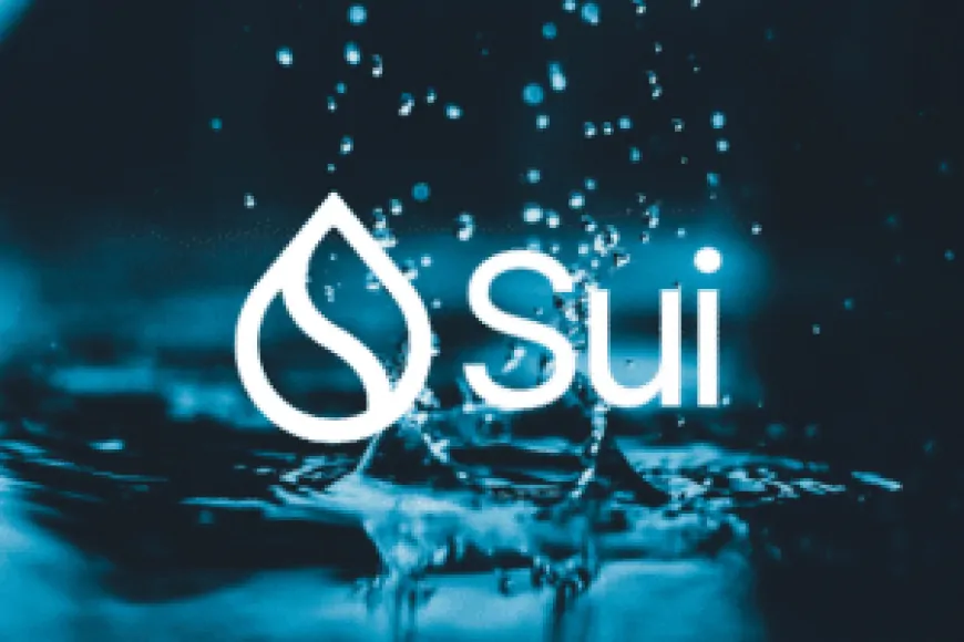 Sui Network attracts investments and expands the user base: the network of the moment?