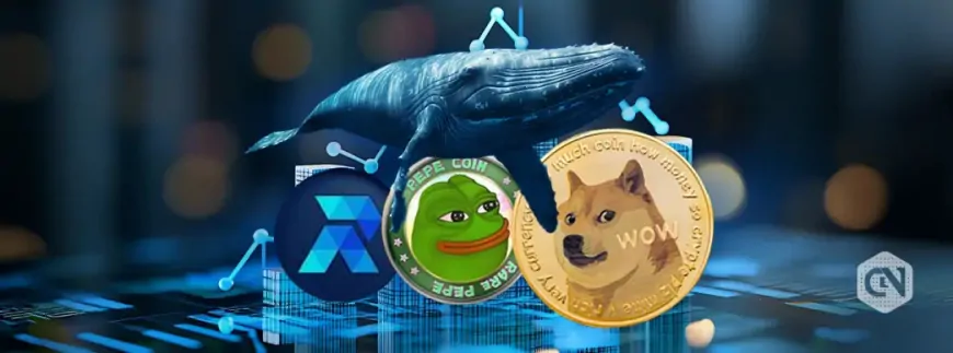 Whales Buy Up PEPE, DOGE, and RCOF: What's Fueling the Demand?