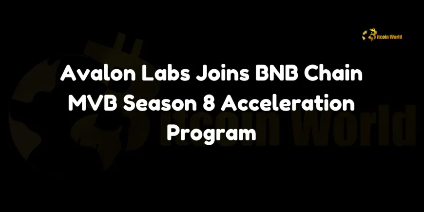 Avalon Labs Joins BNB Chain MVB Season 8 Acceleration Program