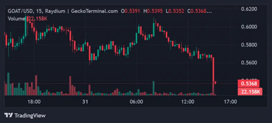 Celestia and GOAT investors turn to Poodlana to try and recoup losses