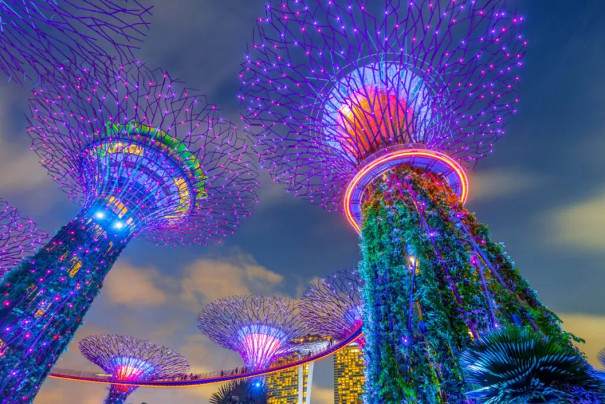 Singapore Grants Gemini Crypto Expansion Wish