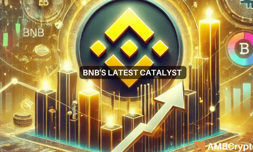 BNB's 29th Burn – Examining the odds of altcoin rallying to a new high now