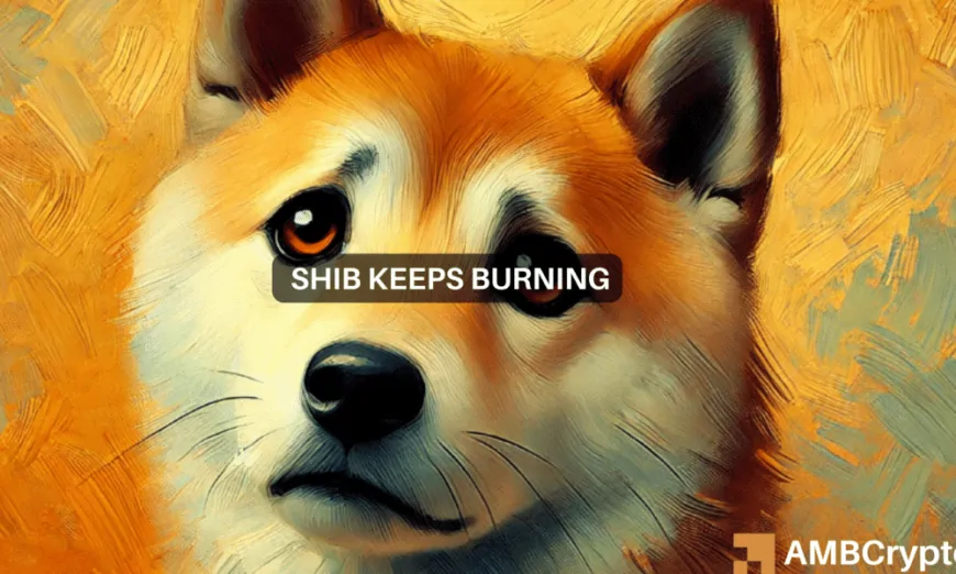 Shiba Inu's burn rate surges by 254,000% – Good news for SHIB?