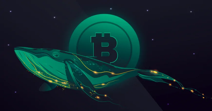 Long-Dormant Bitcoin Whales Resurface, Moving Millions After Years of Inactivity