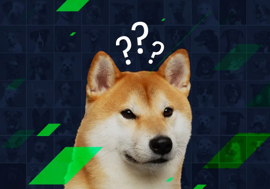 Dogecoin Community Celebrates DOGE Day – What Is It All About?