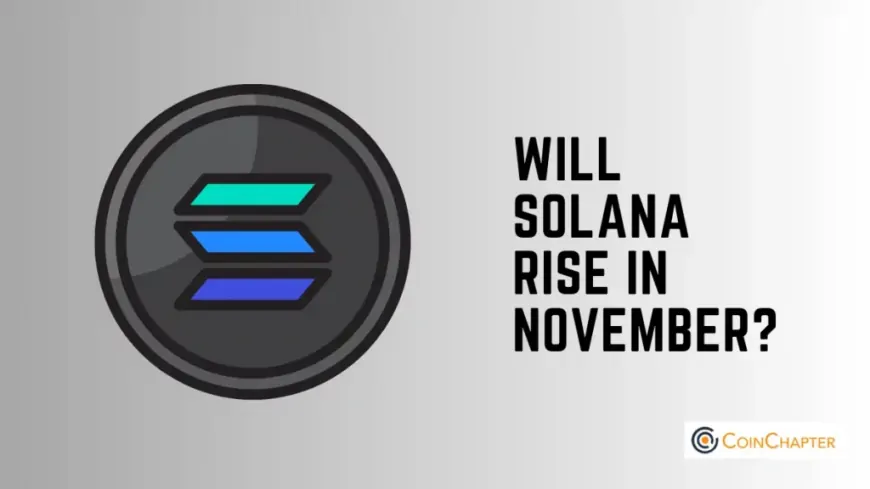 Solana (SOL) Secures Key Support: Could a Rally Be Next?