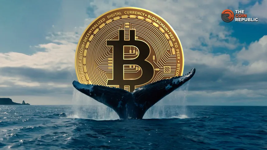 Whales Shorting Bitcoin Aggressively: Can BTC Hold Above 200EMA?