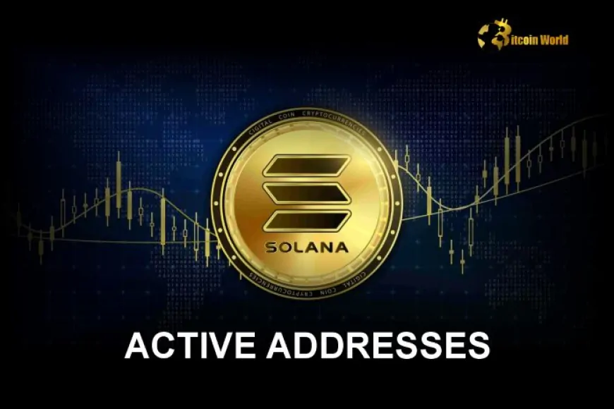 Solana Hits Record 123M Active Addresses Amid Memecoin Surge