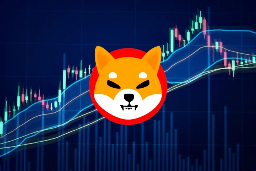 Shiba Inu's Shibarium Sees Daily Transactions Surge To 4.68 Million, Will This Push SHIB's Price Toward $0.00008?