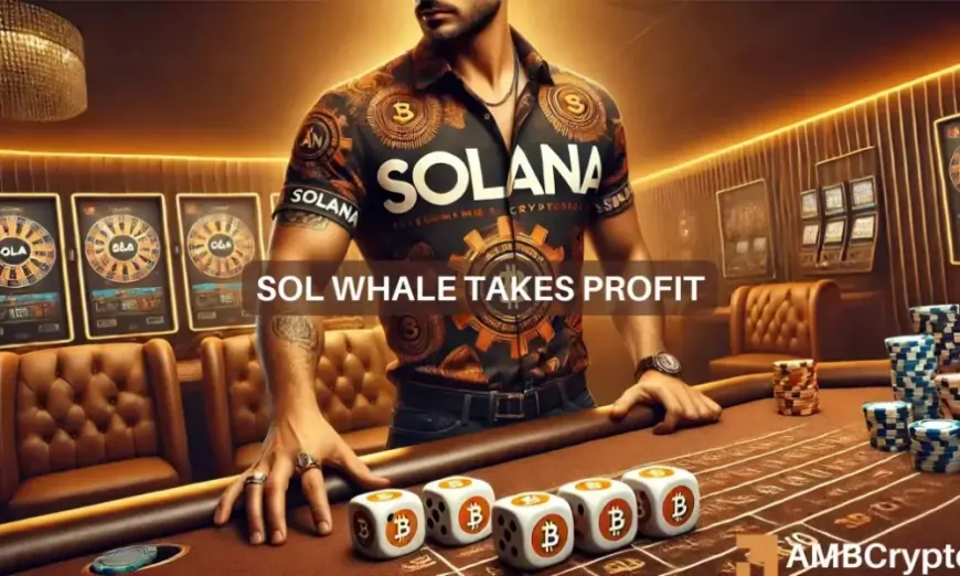 Examining how THIS Solana whale profited from cashing out