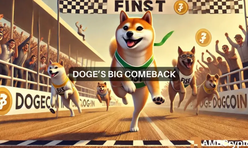 Dogecoin – Assessing memecoin sector's latest reaction to DOGE's price hike