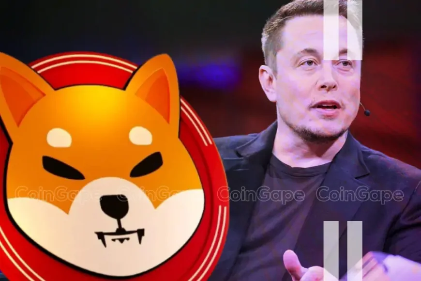 Shiba Inu Team Proposes S.H.I.B. Strategy to Musk and Trump, SHIB Price To Rally?