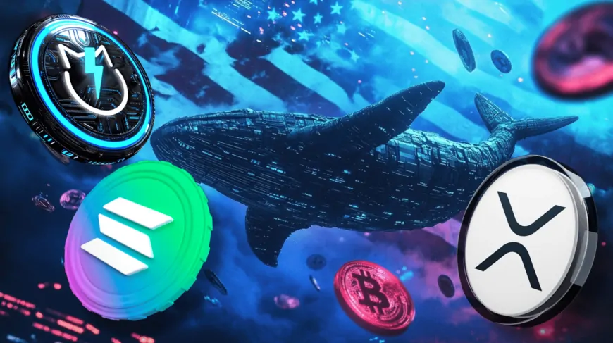 Solana, XRP, JetBolt: Why Whales Are Buying These Three Coins Before the US Election