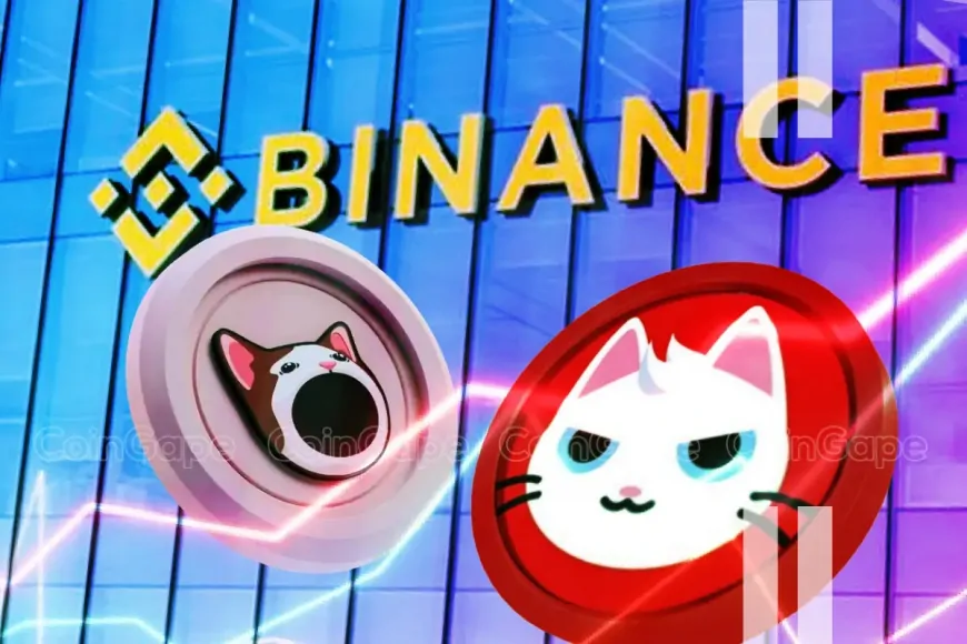 Binance Expands Support For POPCAT & MEW, Will These Solana Meme Coins Rally?