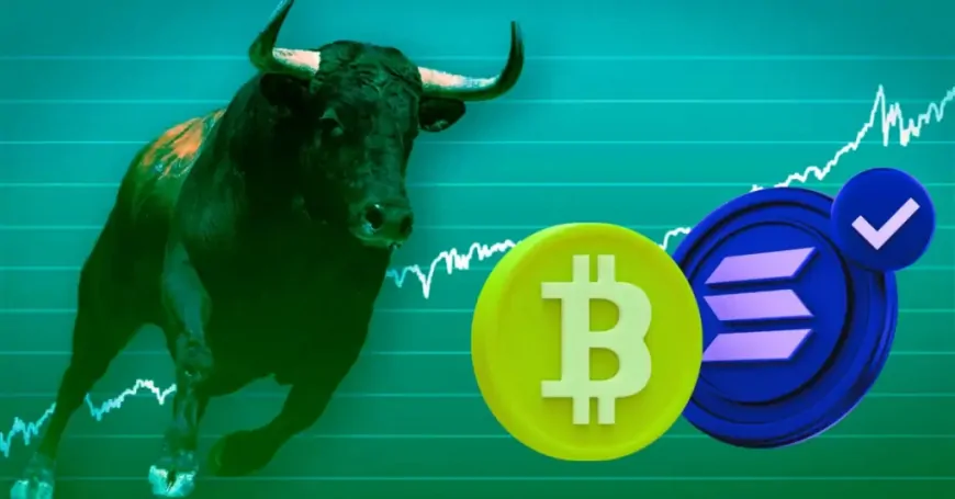 Why Shorting Solana and Investing in Bitcoin Might Be the Smart Move Ahead of the Election?