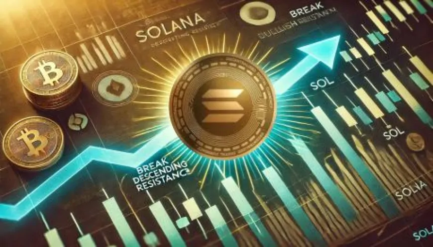 Solana ‘Must Break Descending Resistance' To Regain Bullish Momentum – Analyst