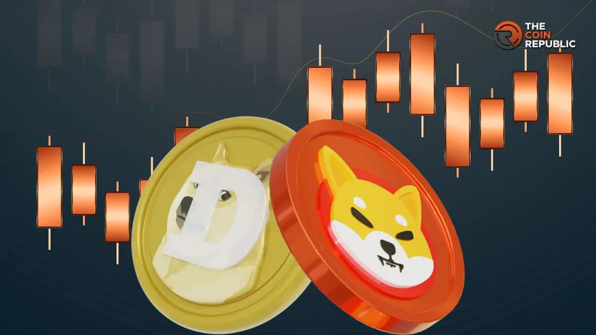 Institutions Stacking Memecoins Ahead of SHIB and DOGE Pumps