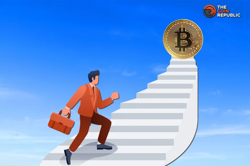 3 Cryptos Leading Market Rally: BTC, DOGE, SHIB